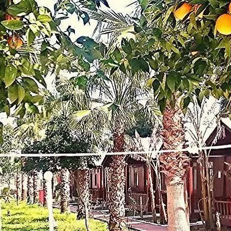 מלון דירות Dream Park Titreyengol