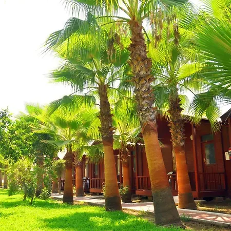 Dream Park מלון דירות