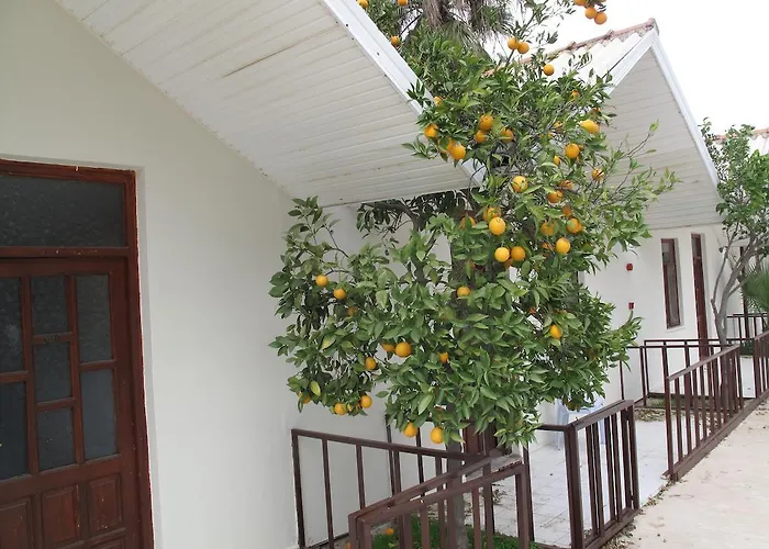 Lägenhetshotell Dream Park Titreyengol