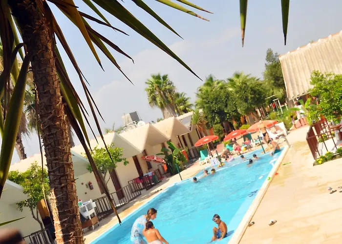 Dream Park 2* Titreyengol