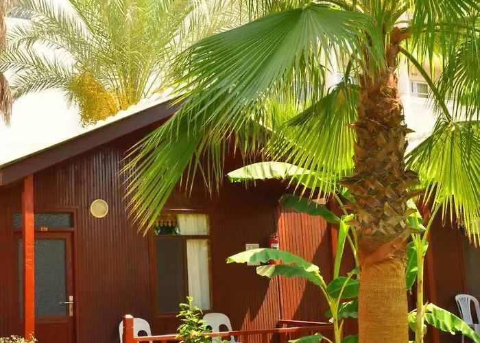 Dream Park 2* Titreyengol