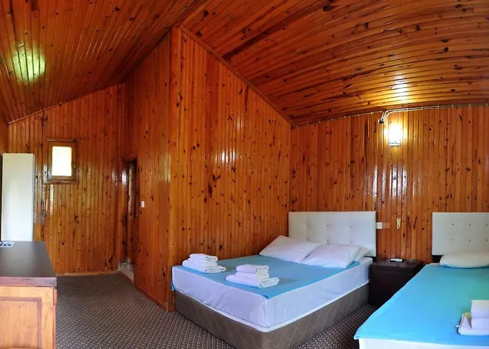 Dream Park 2* Titreyengol