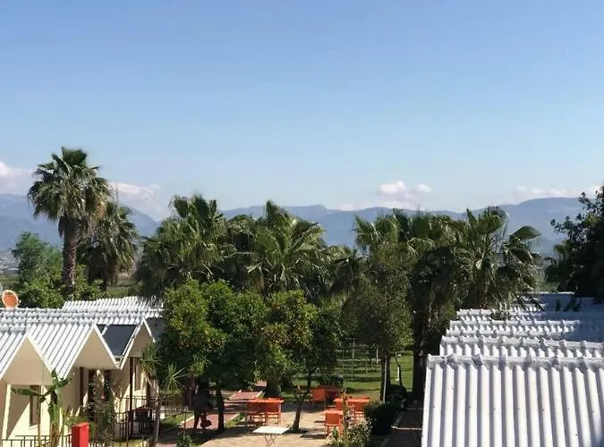 Dream Park Titreyengol