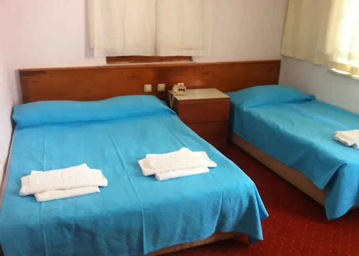 Dream Park 2* Titreyengol