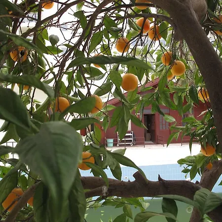 Dream Park Apartahotel 2*