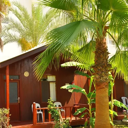 Dream Park 2* Titreyengol