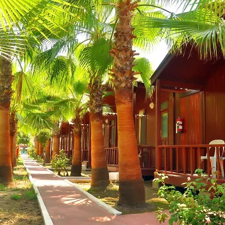 Dream Park 2* Titreyengol