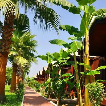 Dream Park Apartahotel 2*