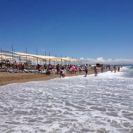 Dream Park 2* Titreyengol