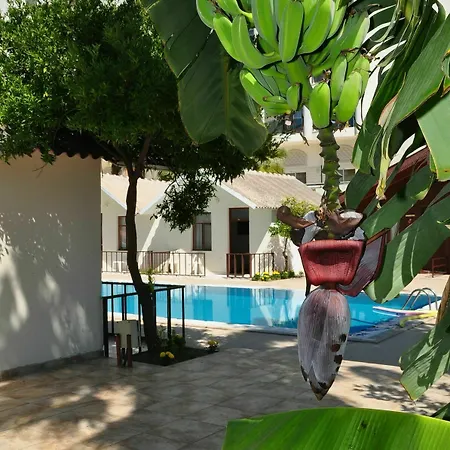 Dream Park Apartahotel