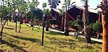 Dream Park