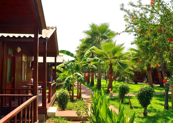 아파트호텔 Dream Park 2*