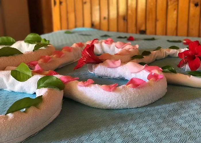 Dream Park Titreyengol