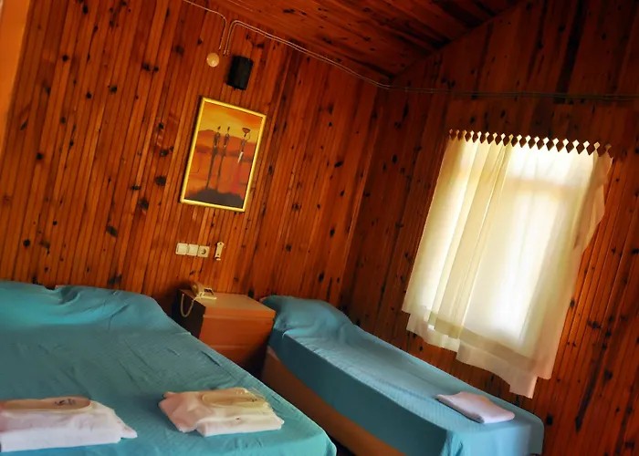 Dream Park 2* Titreyengol