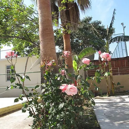 Lejlighedshotel Dream Park 2*