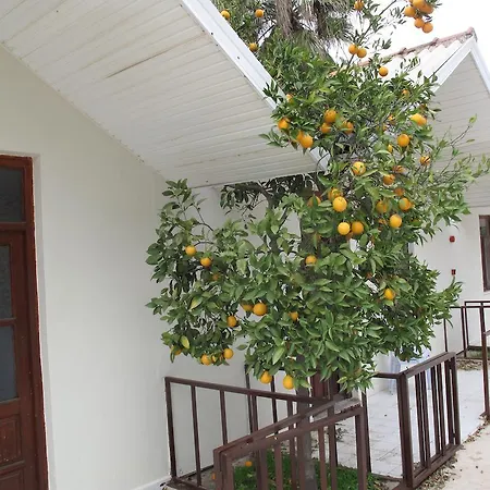 Lejlighedshotel Dream Park Titreyengol