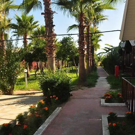 Dream Park